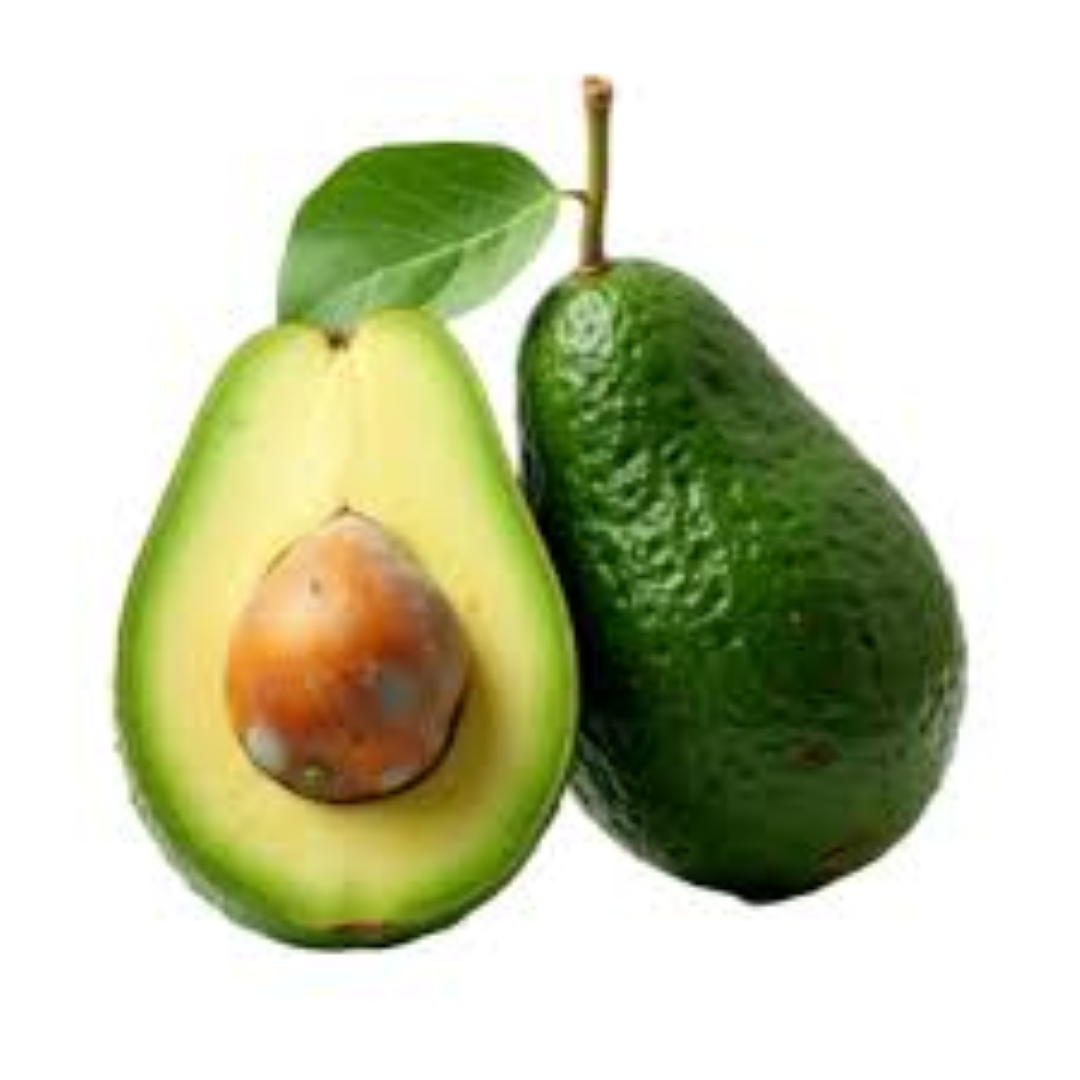 FRESH AVOCADO